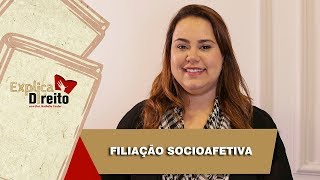 Explica Direito Filiação Socioafetiva  2019 [upl. by Bellina451]